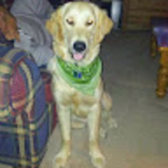 Meet your Posher, Sue - Picture 1 of 1